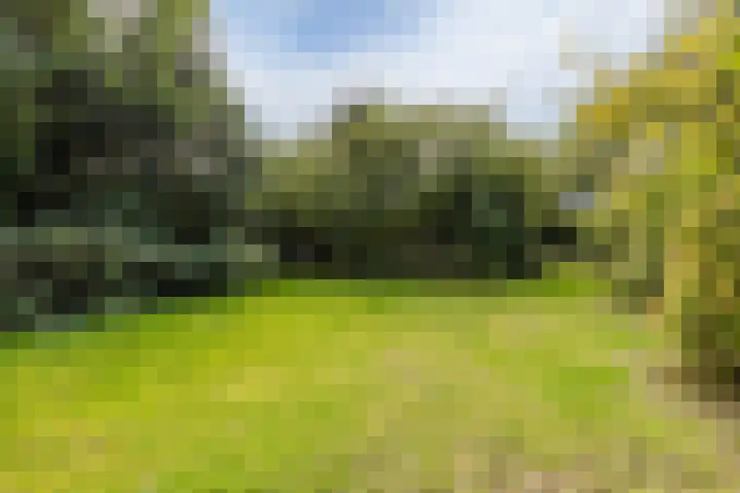 Rijksstraatweg 65 Glimmen thumbnail 37