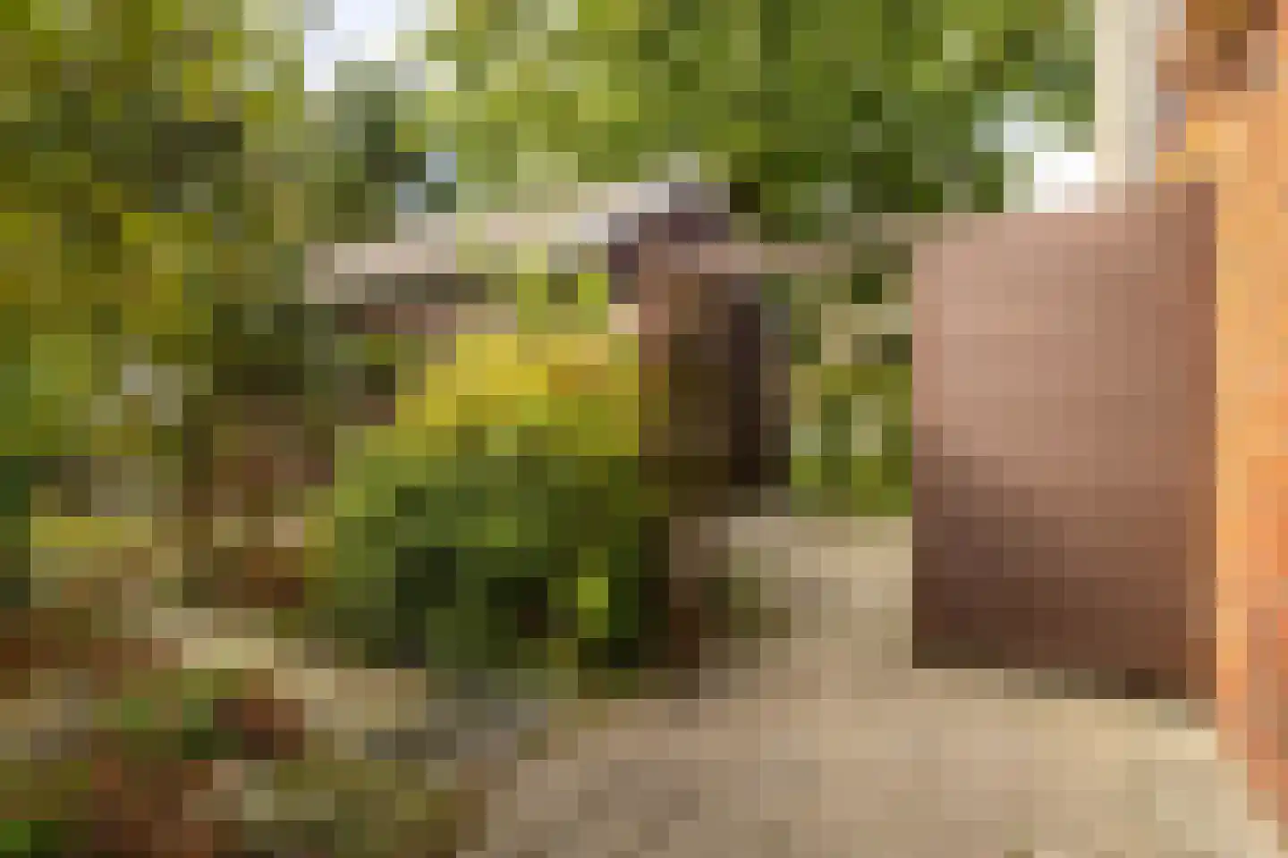 Rijksstraatweg 65 Glimmen thumbnail 39