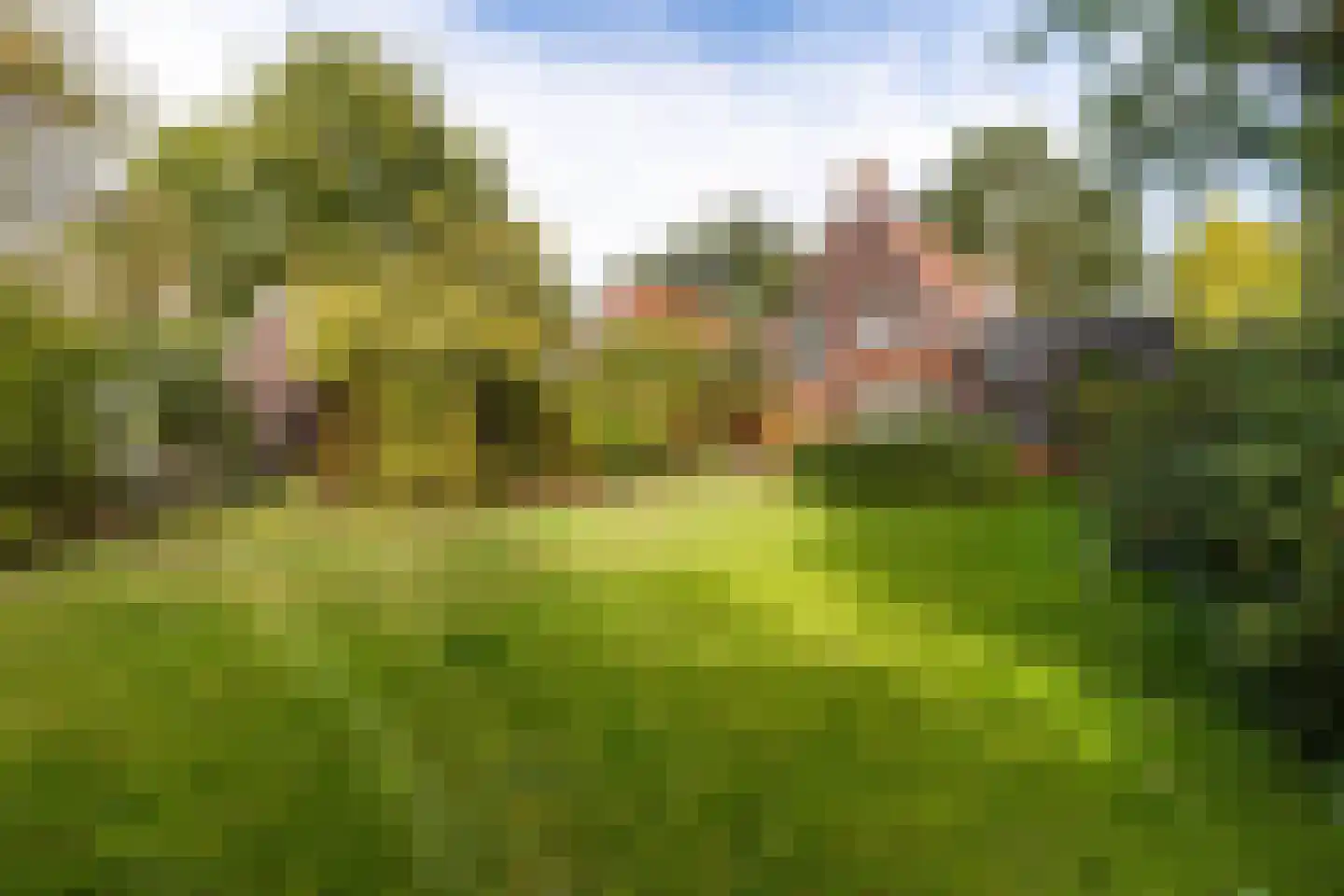 Rijksstraatweg 65 Glimmen thumbnail 4