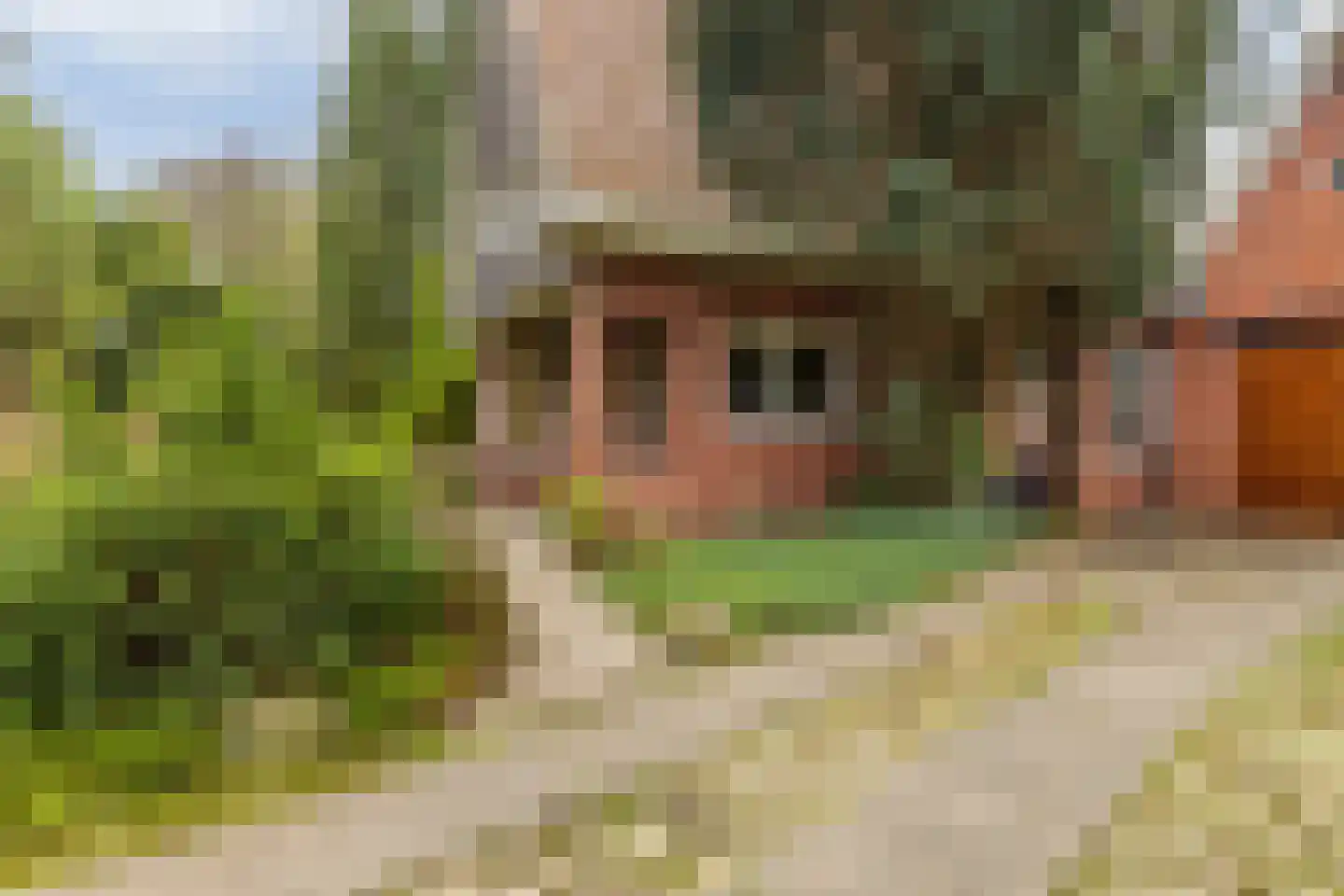 Rijksstraatweg 65 Glimmen thumbnail 41