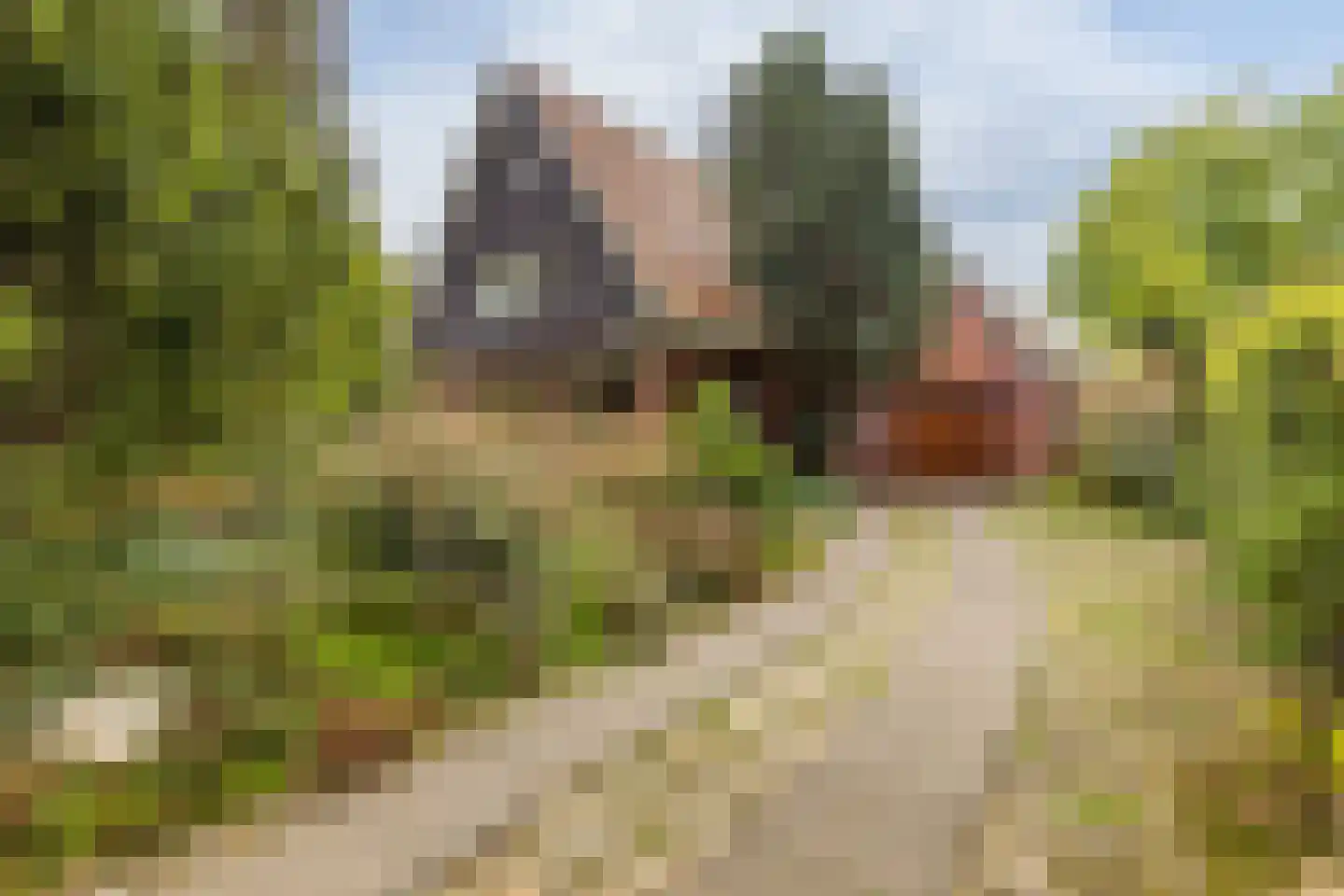 Rijksstraatweg 65 Glimmen thumbnail 42