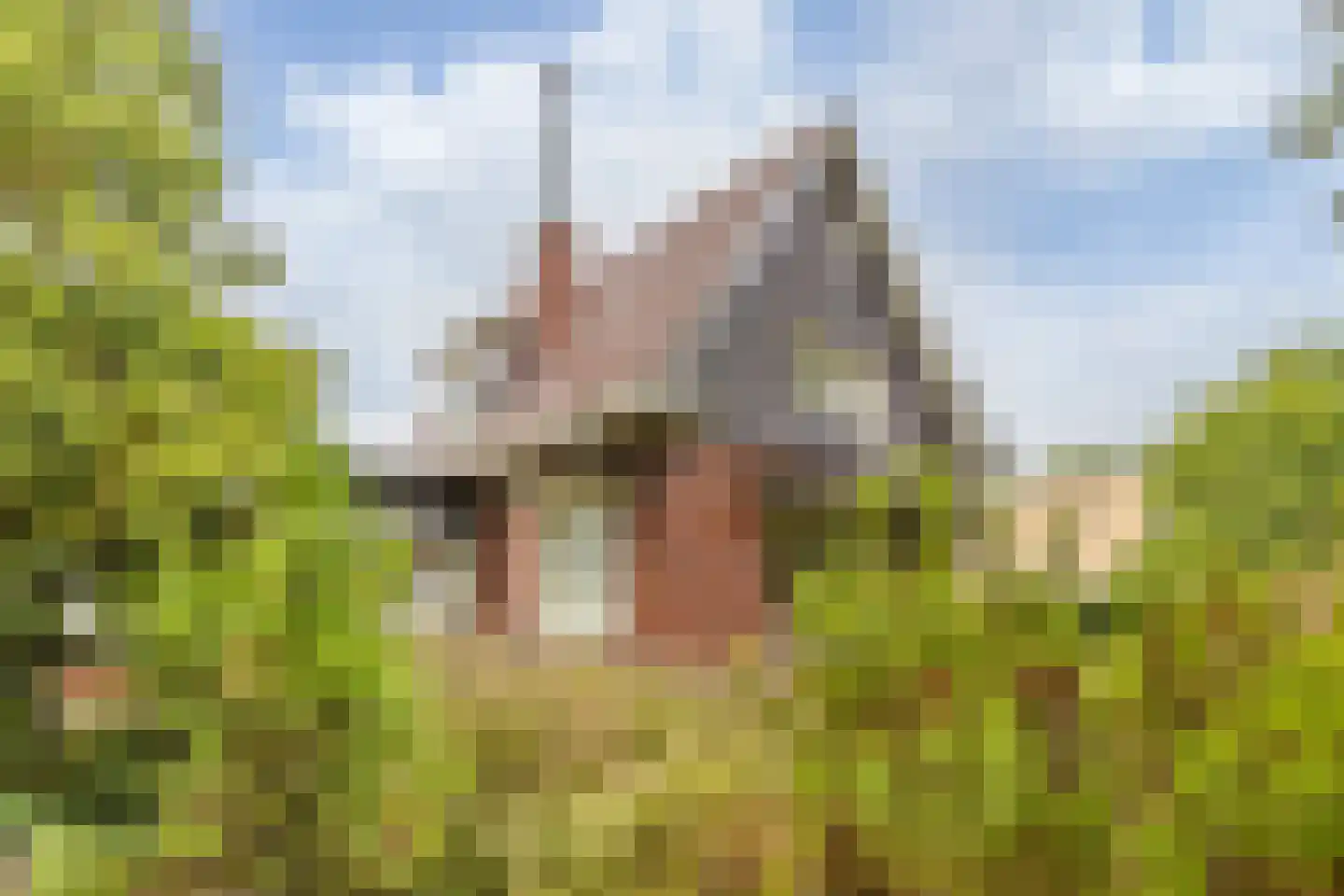 Rijksstraatweg 65 Glimmen thumbnail 43