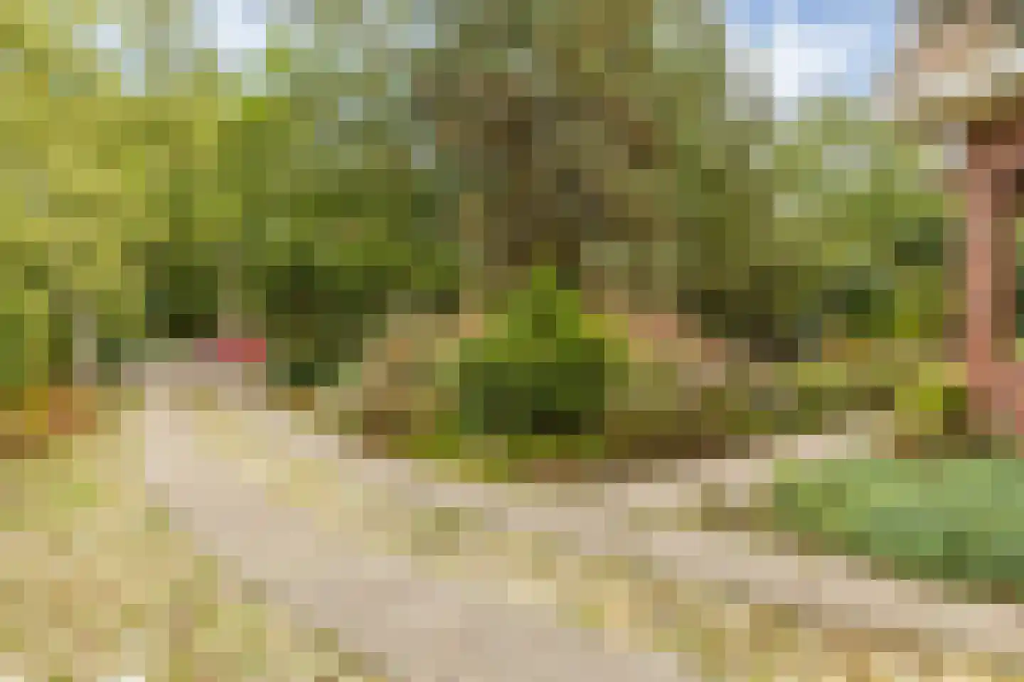 Rijksstraatweg 65 Glimmen thumbnail 44