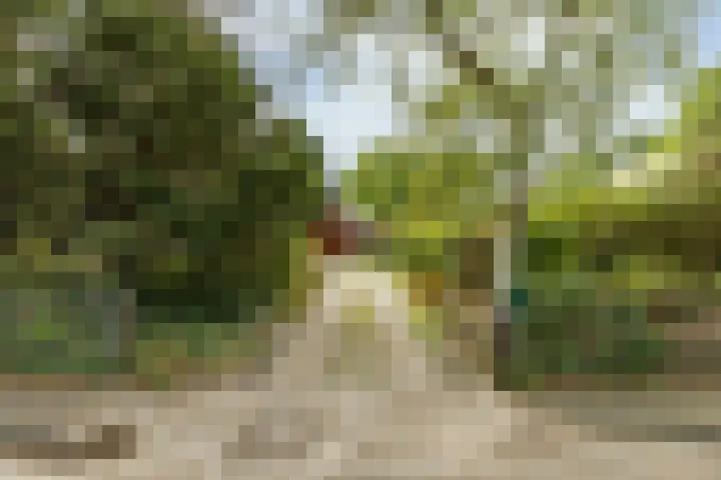 Rijksstraatweg 65 Glimmen thumbnail 45