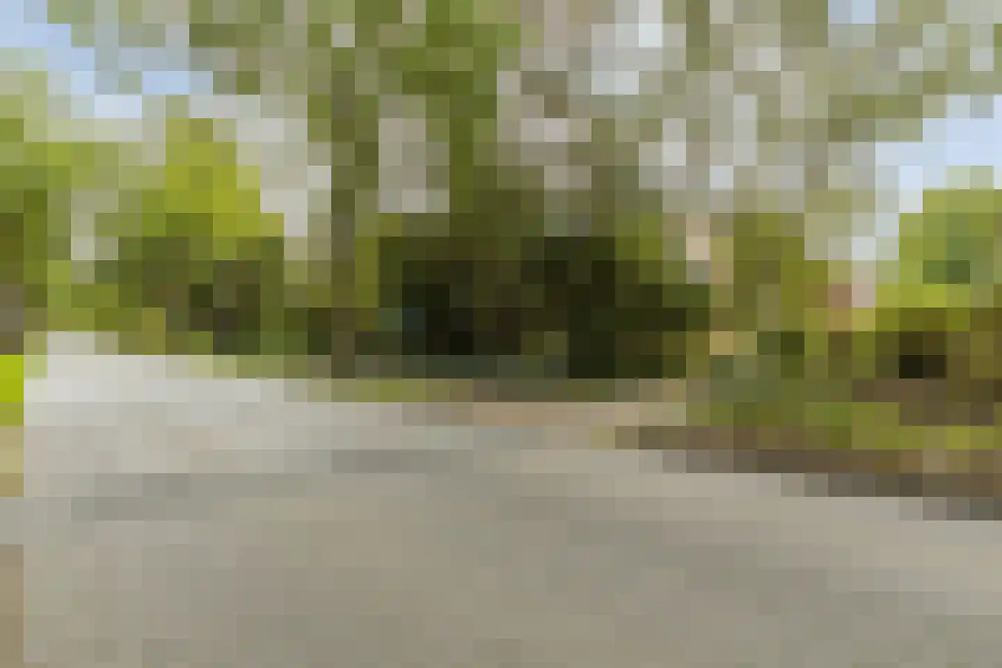 Rijksstraatweg 65 Glimmen thumbnail 46