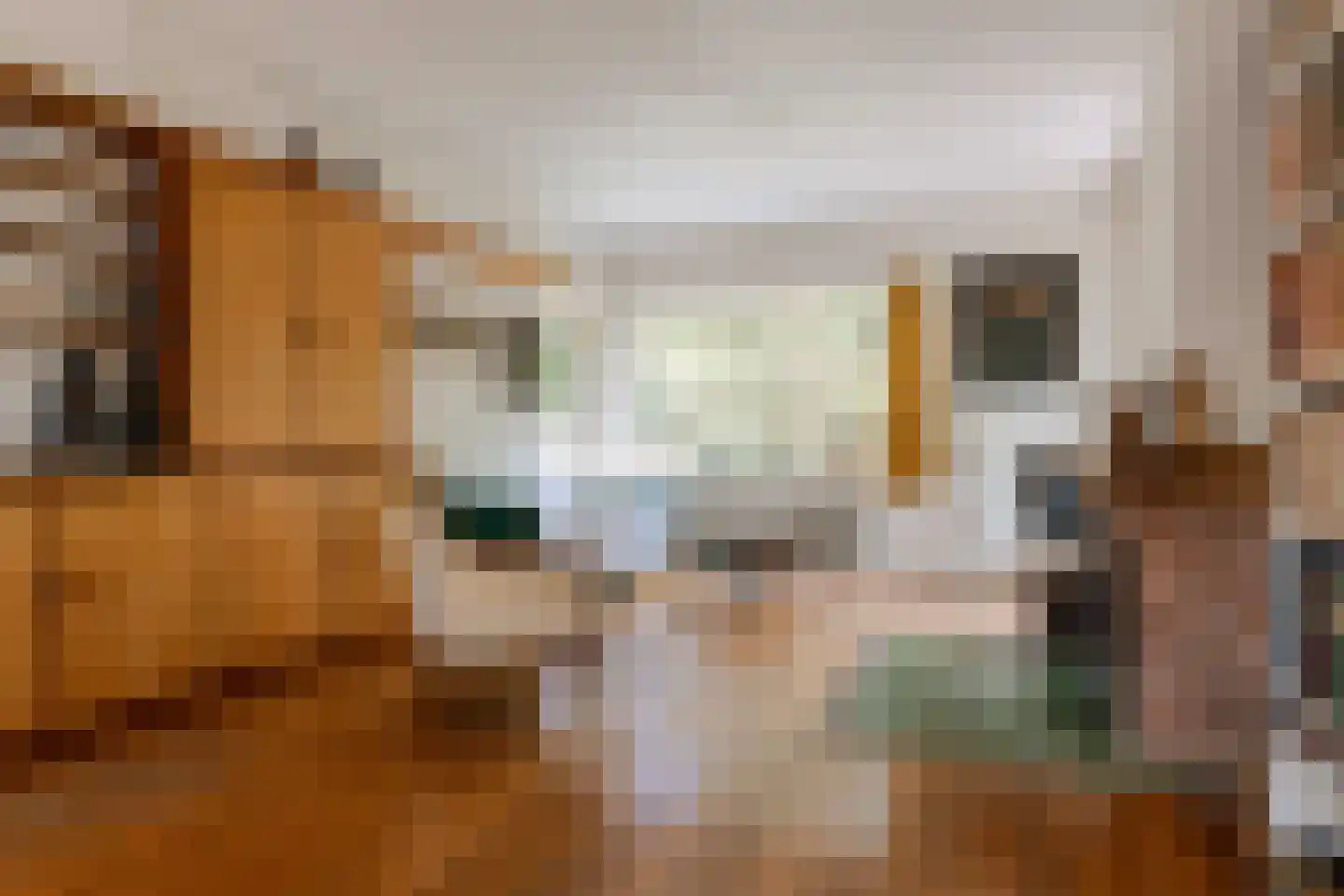 Rijksstraatweg 65 Glimmen thumbnail 8