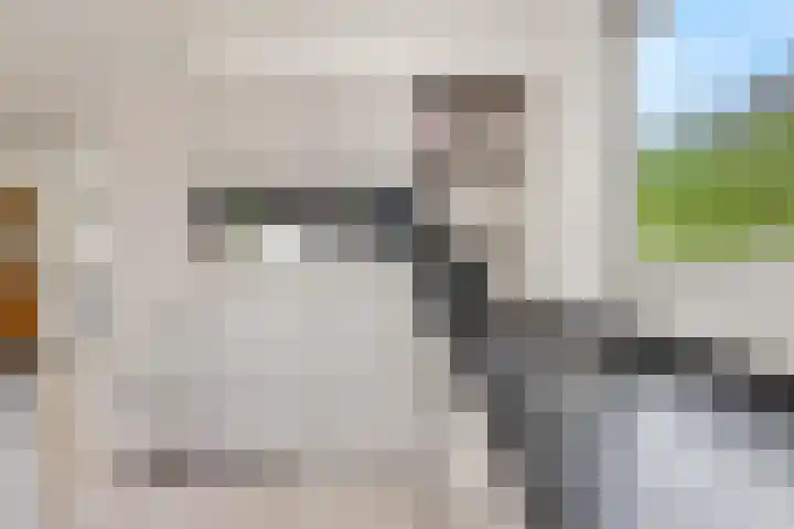Rijksstraatweg 67 Leersum thumbnail 18