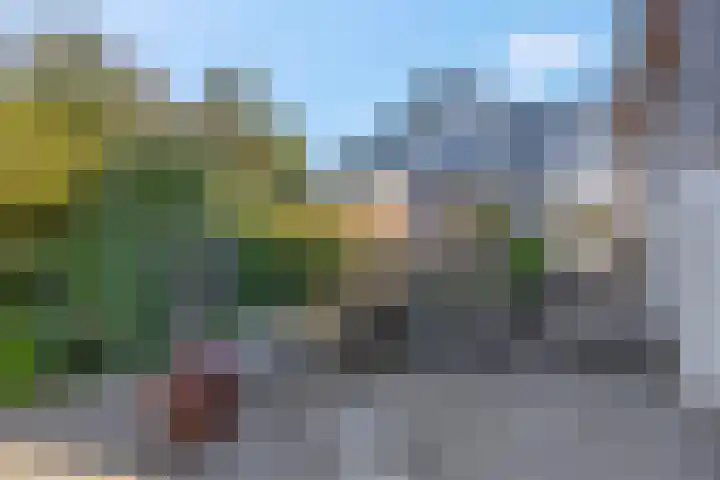 Rijksstraatweg 67 Leersum thumbnail 37