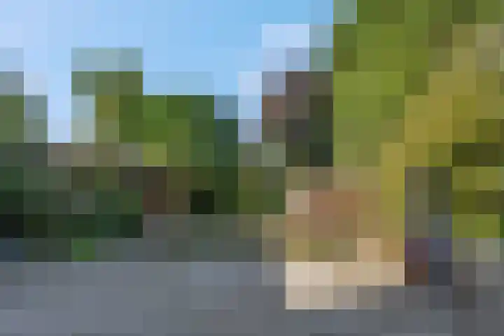 Rijksstraatweg 67 Leersum thumbnail 42