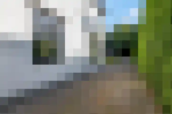 Rijksstraatweg 67 Leersum thumbnail 5