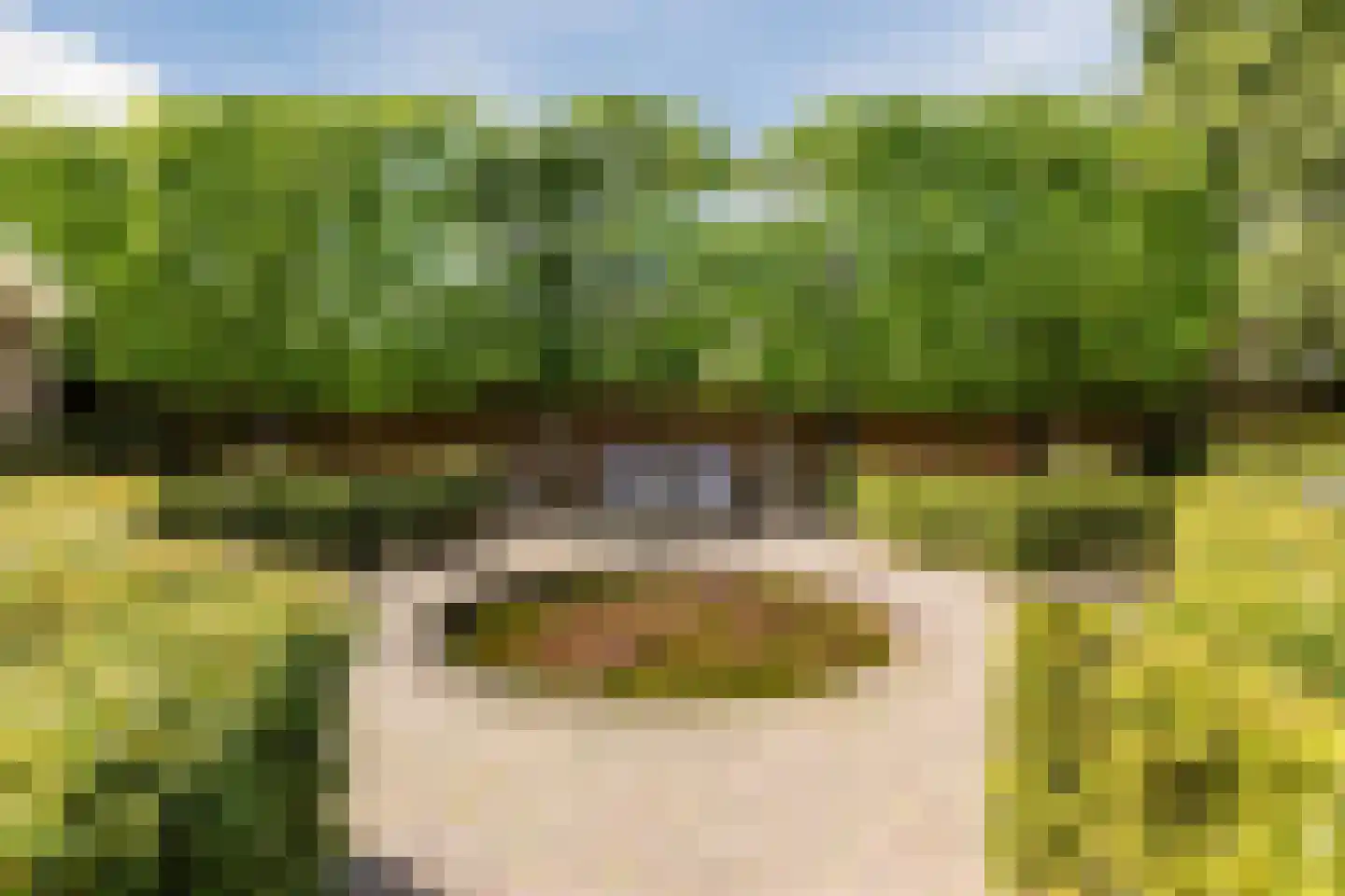 Rijksstraatweg 67 Warnsveld thumbnail 76