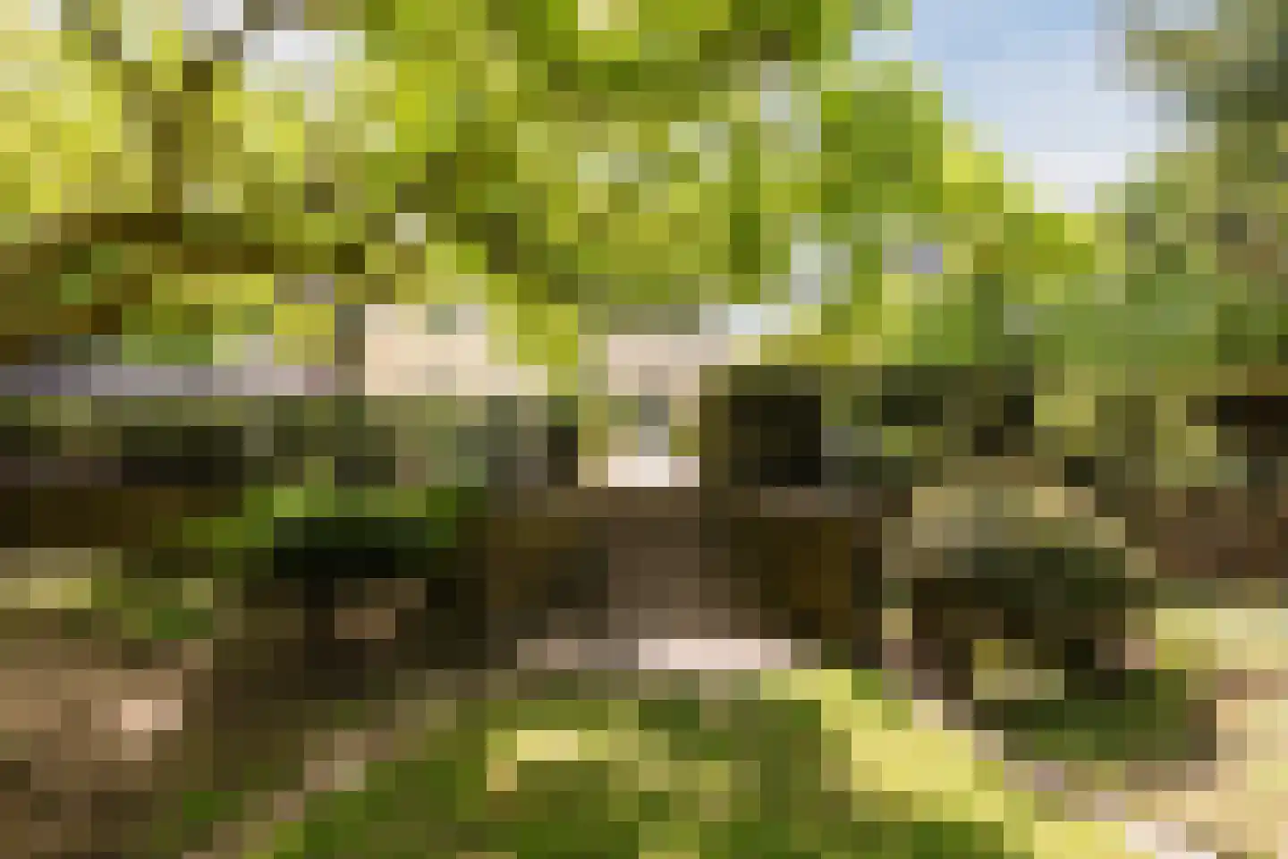 Rijksstraatweg 67 Warnsveld thumbnail 77