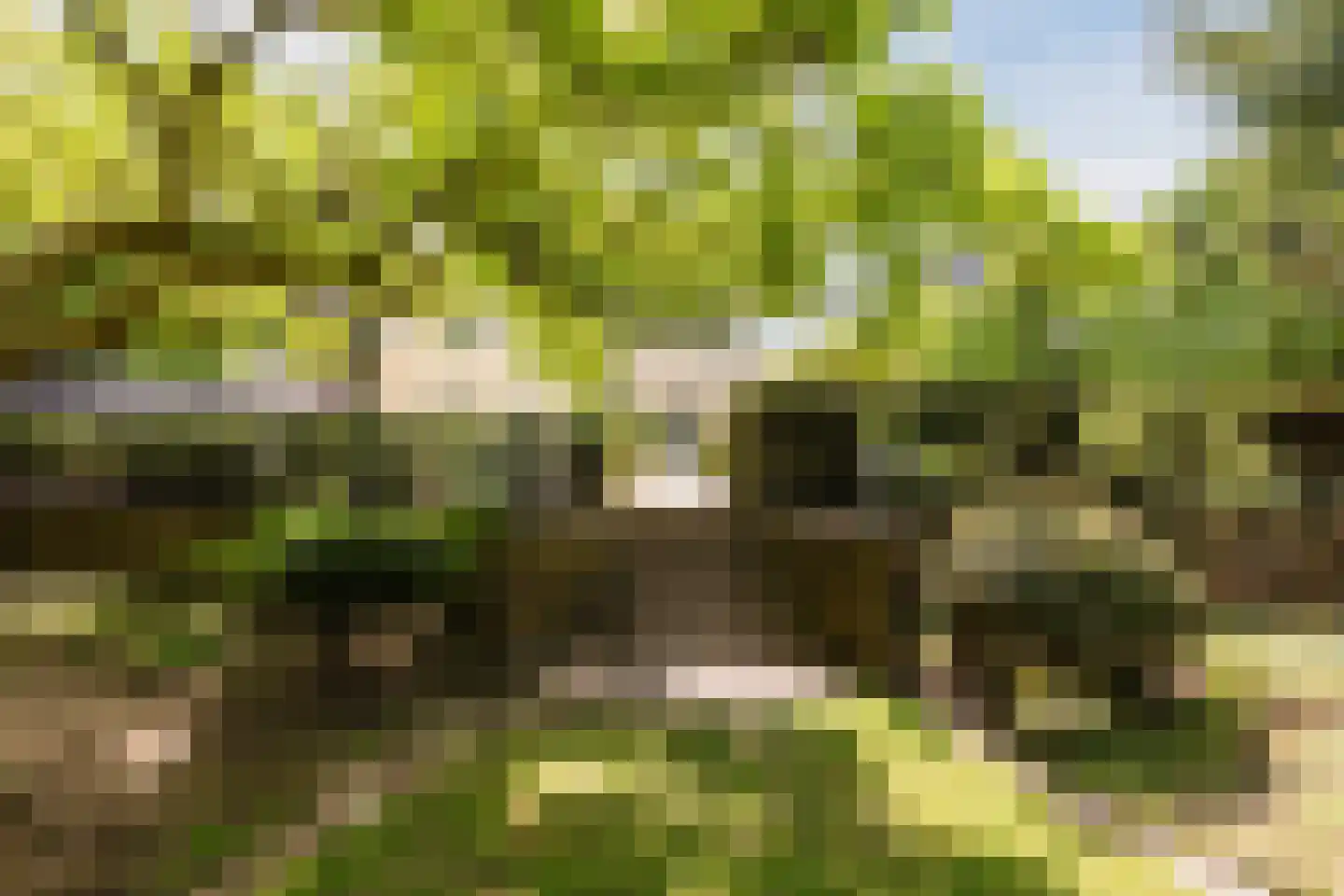 Rijksstraatweg 67 Warnsveld thumbnail 78