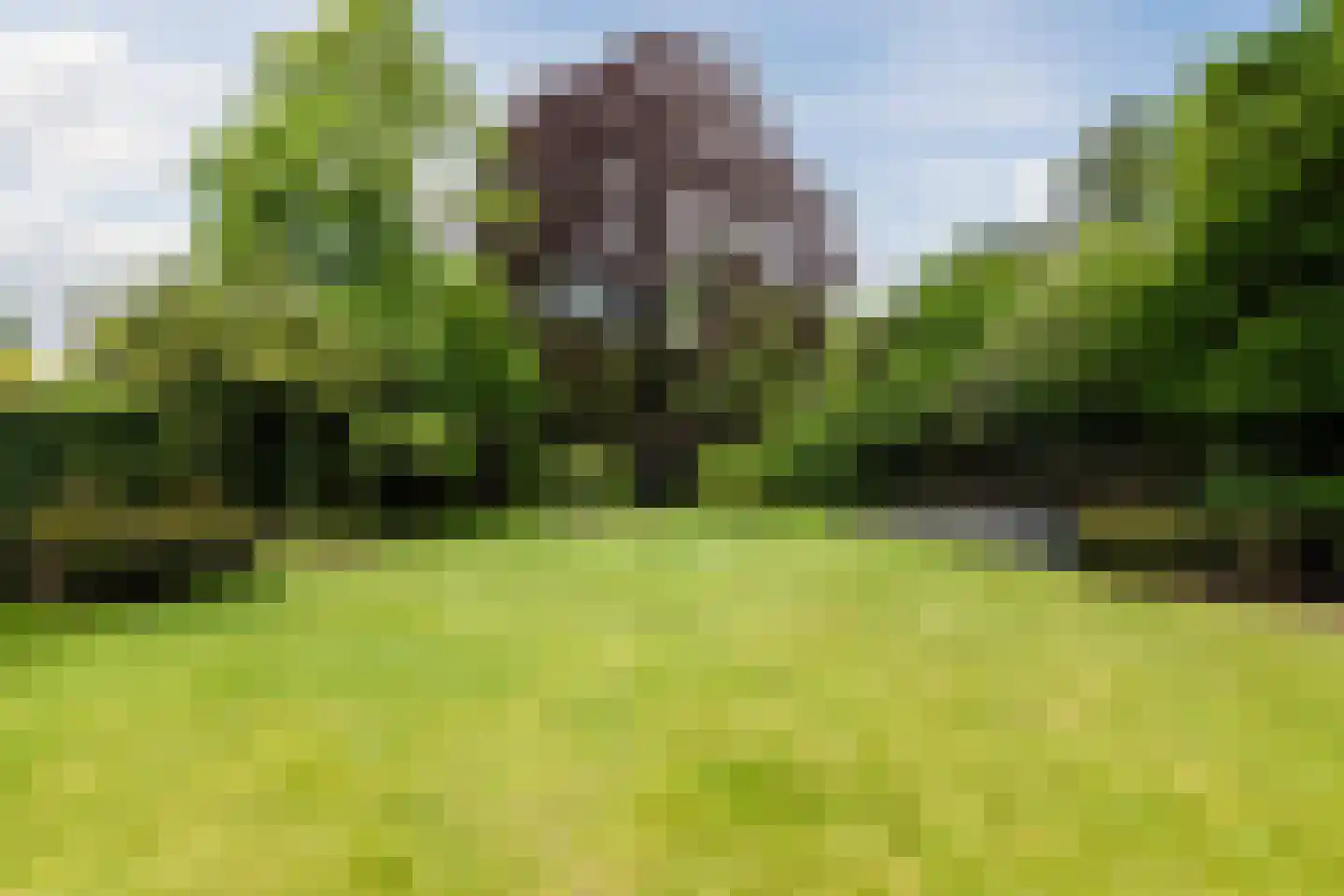 Rijksstraatweg 67 Warnsveld thumbnail 78