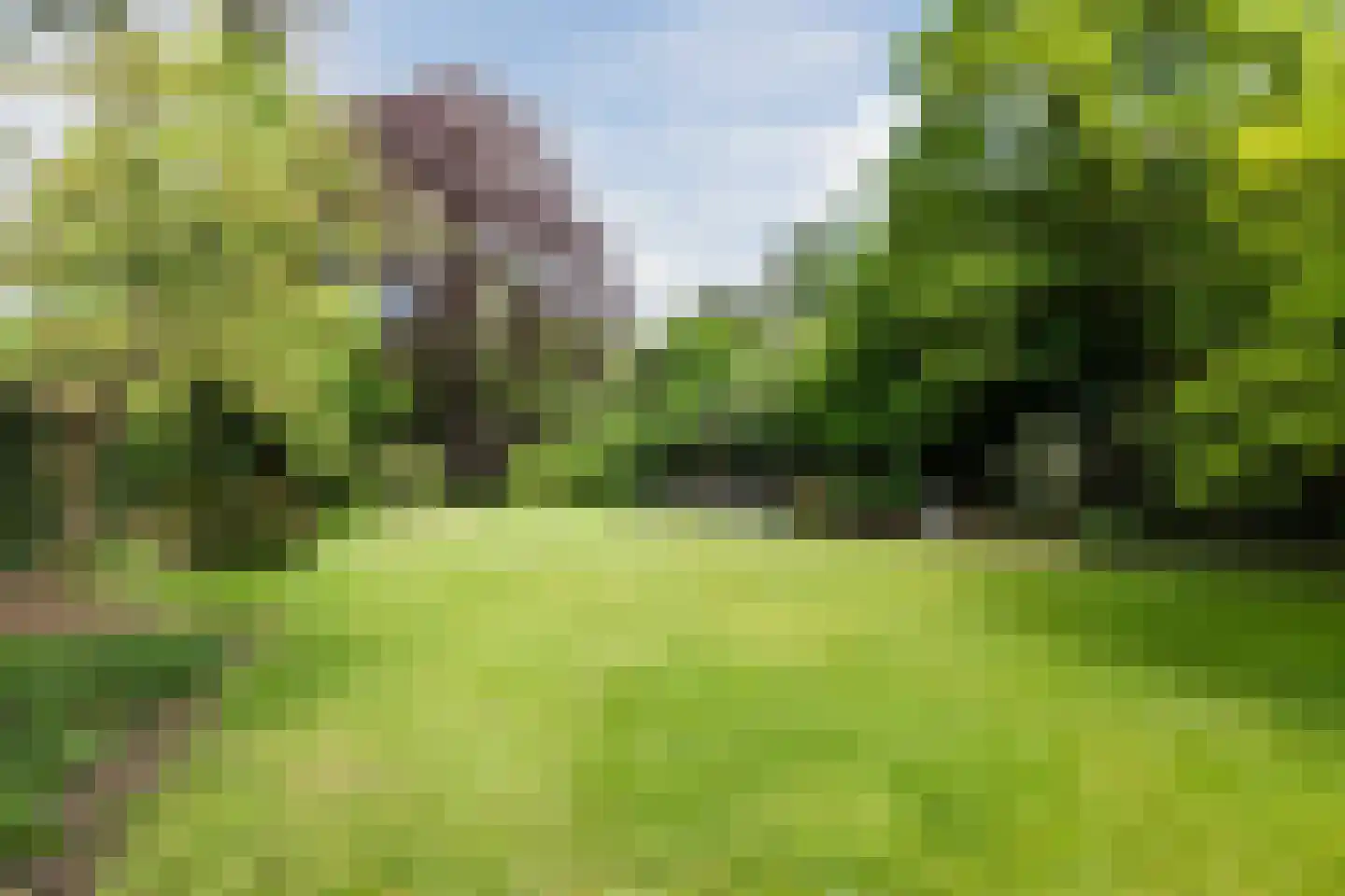 Rijksstraatweg 67 Warnsveld thumbnail 79
