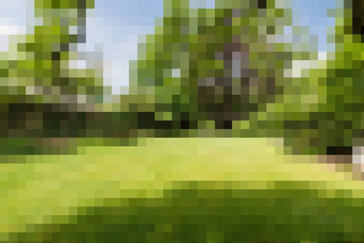 Rijksstraatweg 67 Warnsveld thumbnail 81