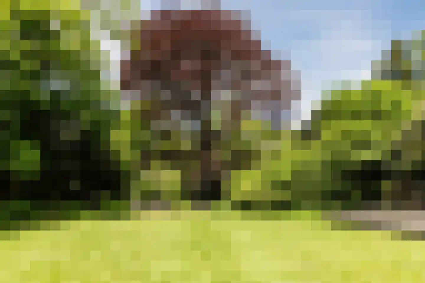 Rijksstraatweg 67 Warnsveld thumbnail 83