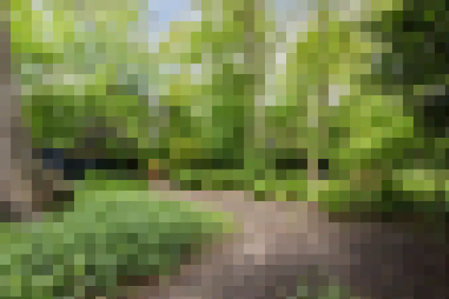 Rijksstraatweg 67 Warnsveld thumbnail 84