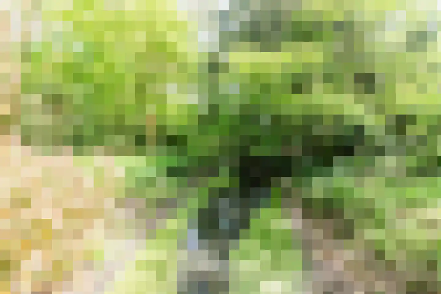 Rijksstraatweg 67 Warnsveld thumbnail 85