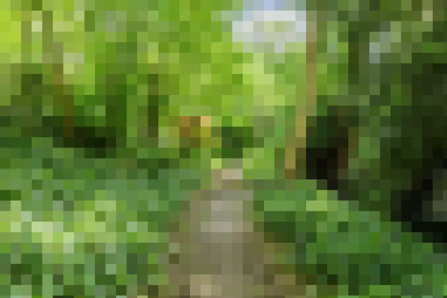 Rijksstraatweg 67 Warnsveld thumbnail 86