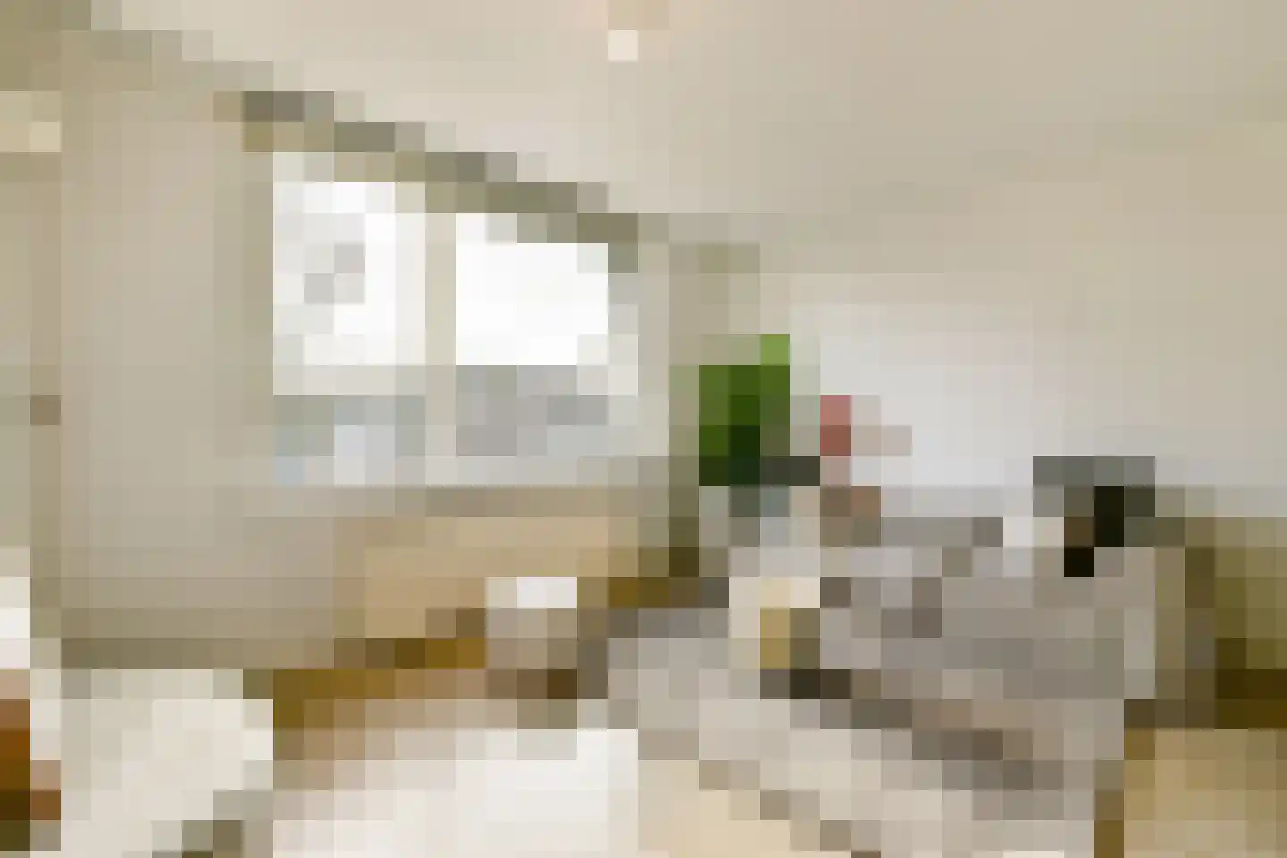 Rijksstraatweg 70 Duivendrecht thumbnail 6