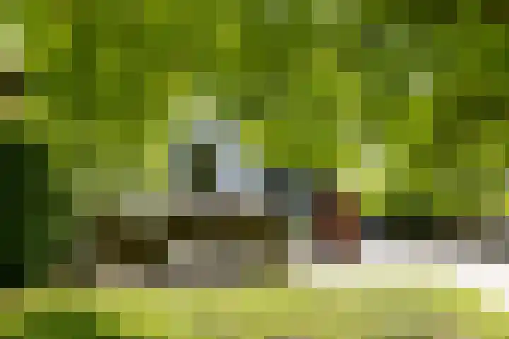 Rijksstraatweg 71 Warnsveld thumbnail 68
