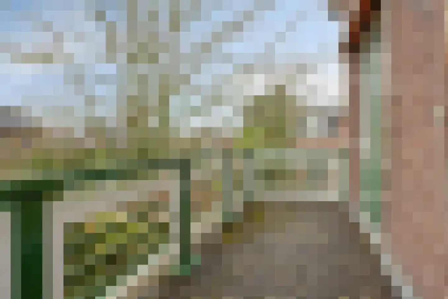 Rijksstraatweg 74 Ridderkerk thumbnail 42