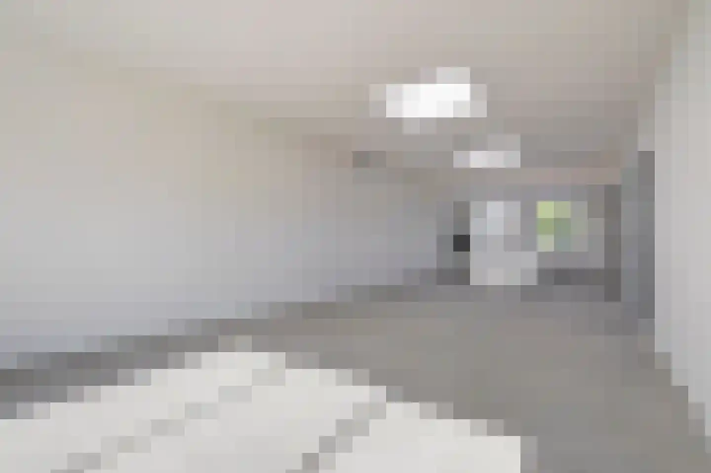 Rijksstraatweg 76 a Olst thumbnail 9