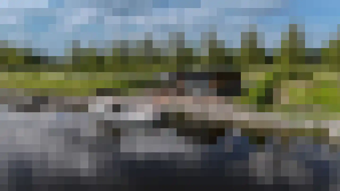 Rijksstraatweg 78 Noardburgum thumbnail 5