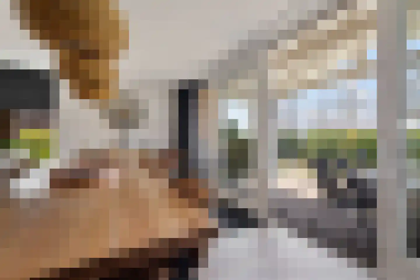 Rijksstraatweg 80 122 Noardburgum thumbnail 17