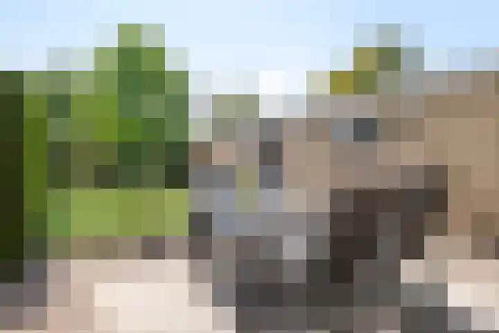 Rijksstraatweg 80 A De Meern thumbnail 33