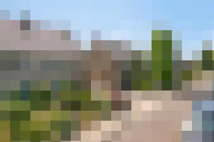 Rijksstraatweg 80 A De Meern thumbnail 41