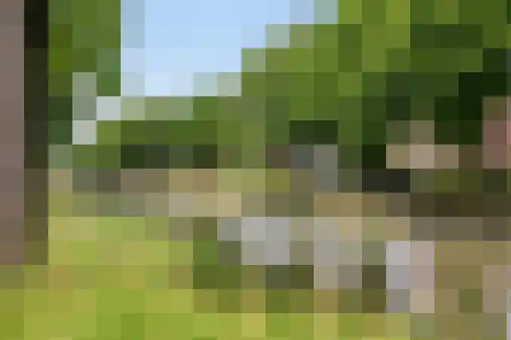 Rijksstraatweg 80 A De Meern thumbnail 44