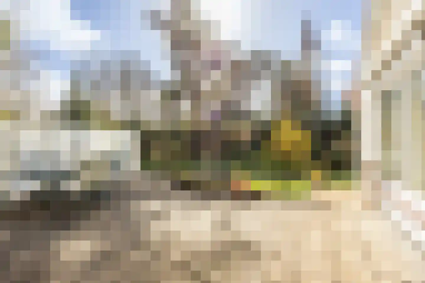 Rijksstraatweg 82 Bennebroek thumbnail 6