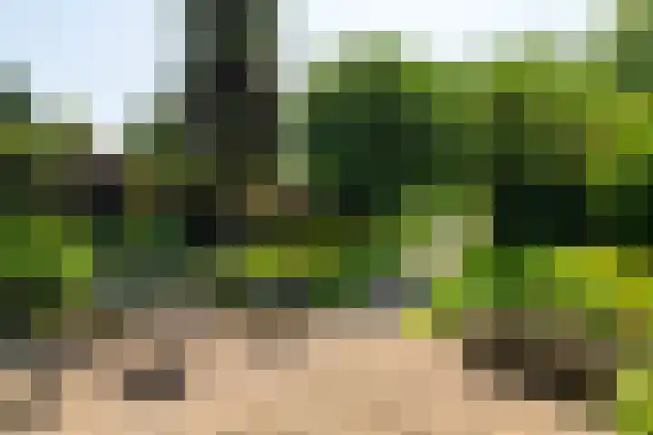 Rijksstraatweg 87 Sleeuwijk thumbnail 42