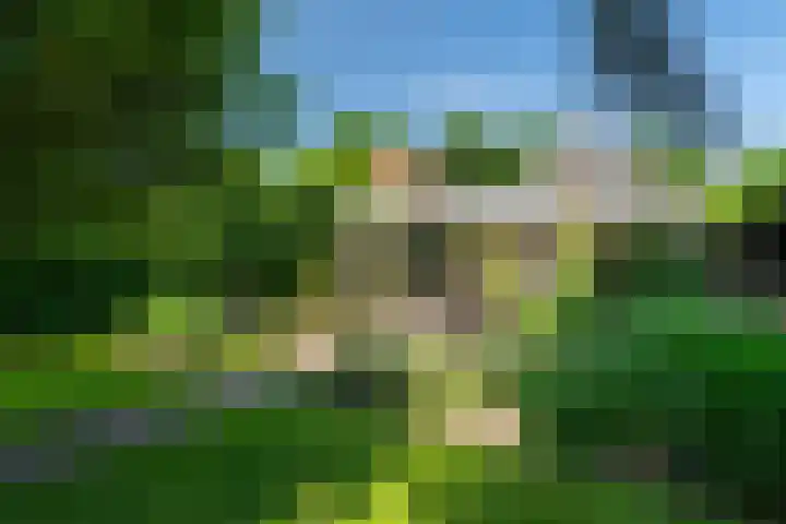 Rijksstraatweg 87 Sleeuwijk thumbnail 43