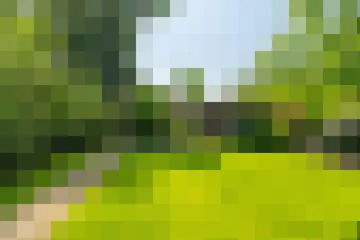 Rijksstraatweg 87 Sleeuwijk thumbnail 50