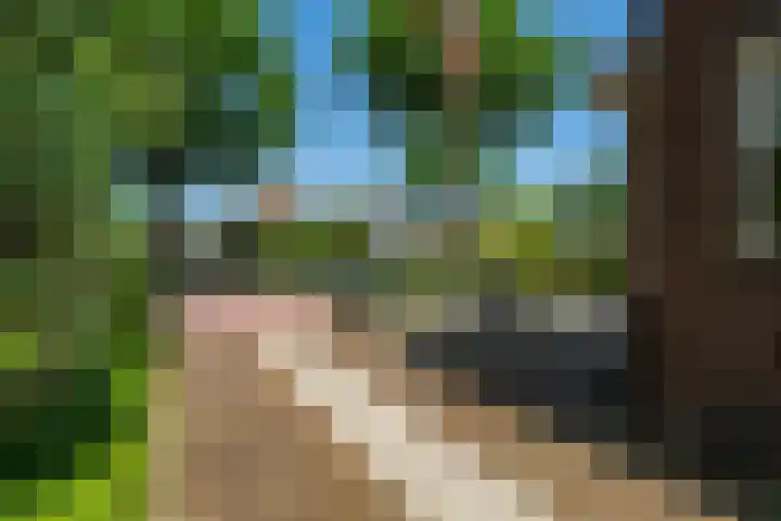 Rijksstraatweg 87 Sleeuwijk thumbnail 6