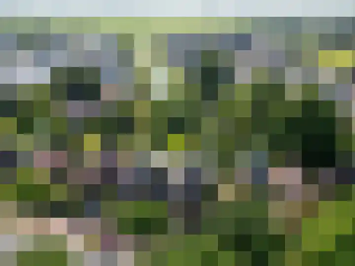 Rijksstraatweg 87 Sleeuwijk thumbnail 7
