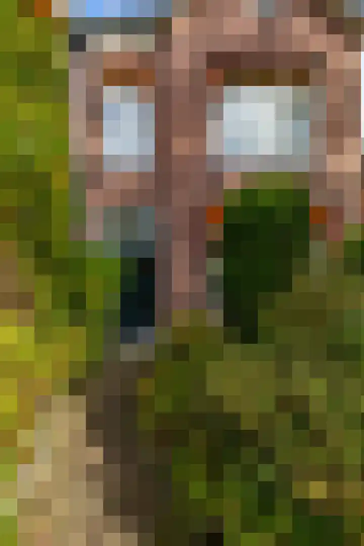Rijksstraatweg 88 Haren Gn thumbnail 7