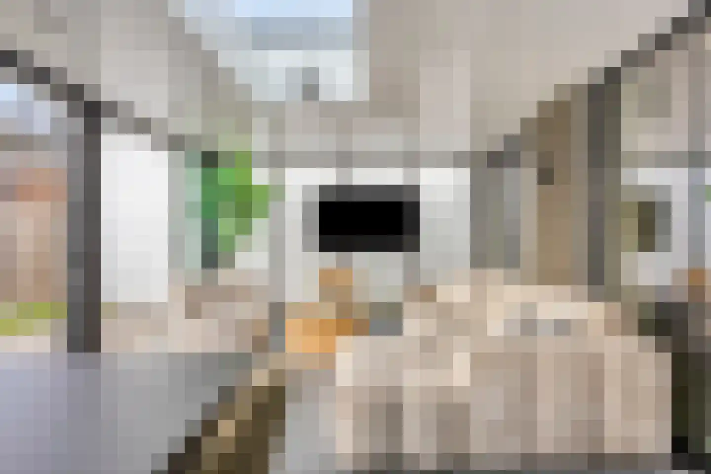 Rijksstraatweg 89 Heemskerk thumbnail 6
