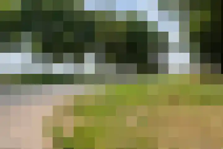 Rijksstraatweg 9 a Wijhe thumbnail 10