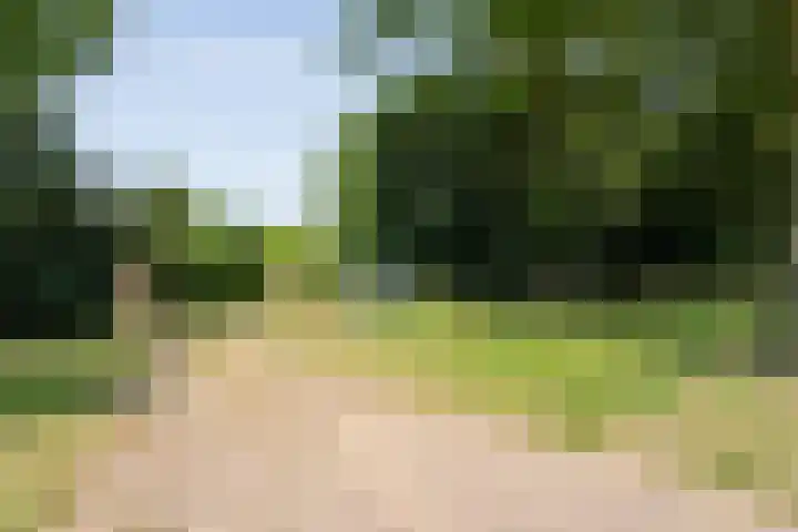 Rijksstraatweg 9 a Wijhe thumbnail 37