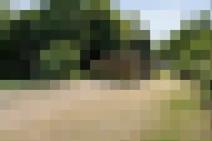 Rijksstraatweg 9 a Wijhe thumbnail 38