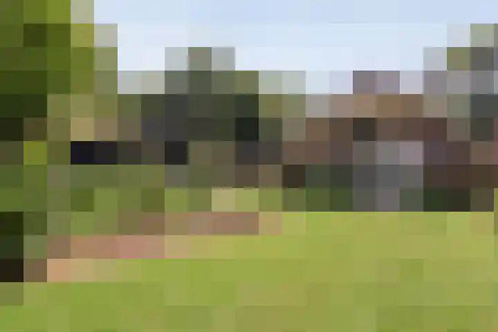 Rijksstraatweg 9 a Wijhe thumbnail 40