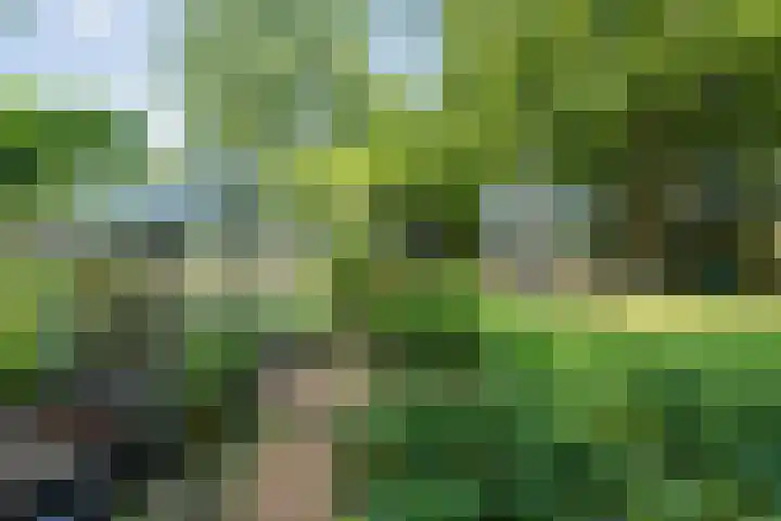 Rijksstraatweg 9 a Wijhe thumbnail 42