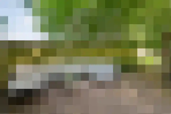Rijksstraatweg 9 a Wijhe thumbnail 43