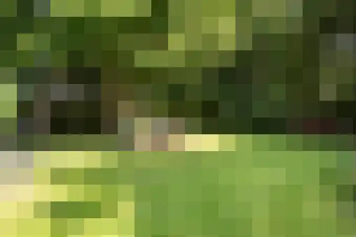 Rijksstraatweg 9 a Wijhe thumbnail 5