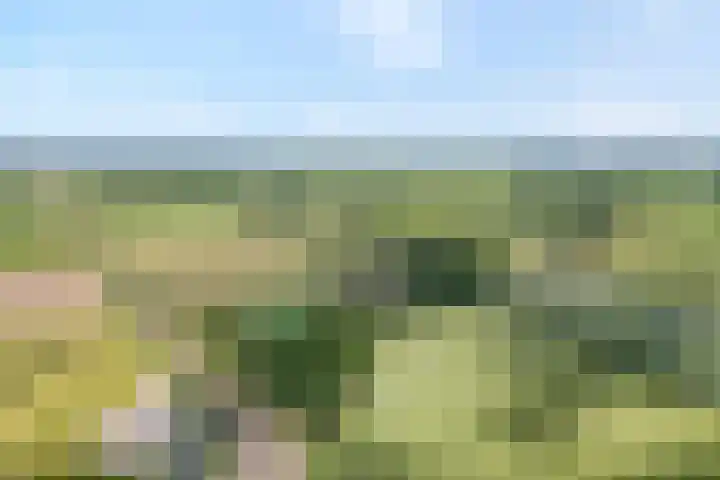 Rijksstraatweg 9 a Wijhe thumbnail 7