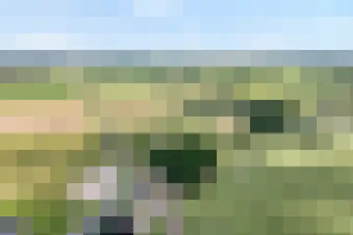 Rijksstraatweg 9 a Wijhe thumbnail 8